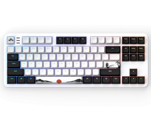 Gaming Mechanical Keyboard Dark Project 87 Fuji V2 RGB TKL - G3MS Sapphire Switches, ABS