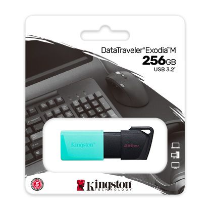 256 GB USB3.2 DTXM KINGSTON