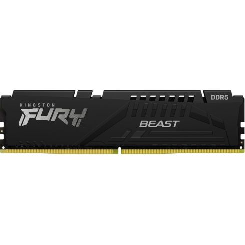 8G DDR5 5200 KINGST EXPO BEAST