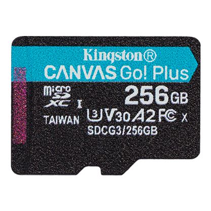 256G SDMIC KINGST CANVAS GO+