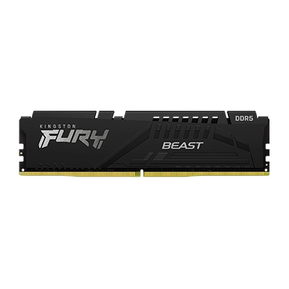 32G DDR5 6000 KING EXPO BEAST