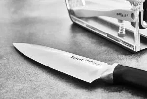 Knife Tefal K2569004 SET KNIFE+SHARPENER EVERSHARP