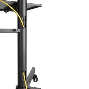 Neomounts by NewStar Mobile Flat Screen Floor Stand (height: 155-170 cm)