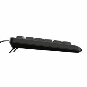 Keyboard TRUST Primo Keyboard BG layout