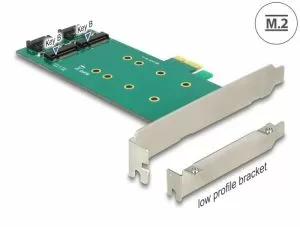 Card Delock PCI Express x1 - 2 x chei interne M.2 B 110 mm, factor de formă cu profil redus