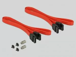 Card Delock PCI Express x1 - 2 x chei interne M.2 B 110 mm, factor de formă cu profil redus