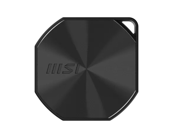 MSI EXT SSD DATAMAG 20GBPS 2TB