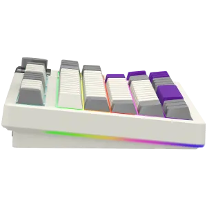 LORGAR KBP70TKLW, Wireless TKL Mechanical Gaming Keyboard Pro, Beige, EN layout