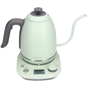 BUYDEEM Electric Gooseneck Coffee Kettle, model K821, color Cozy Greenish EU