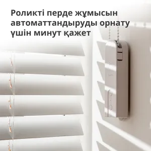 Aqara Roller Shade Driver E1: Model No: RSD-M01; SKU: AM023GLW01