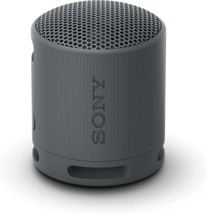 Loudspeakers Sony SRS-XB100 Portable Bluetooth Speaker, black