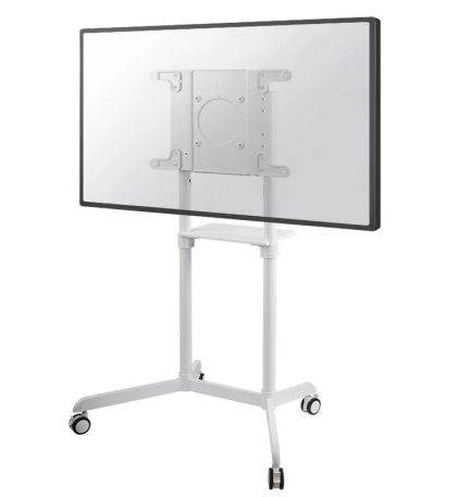 Neomounts by Newstar Mobile Flat Screen Floor Stand (height: 160 cm)