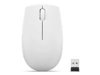LENOVO 300 Wireless Compact Mouse Cloud Gray with battery
