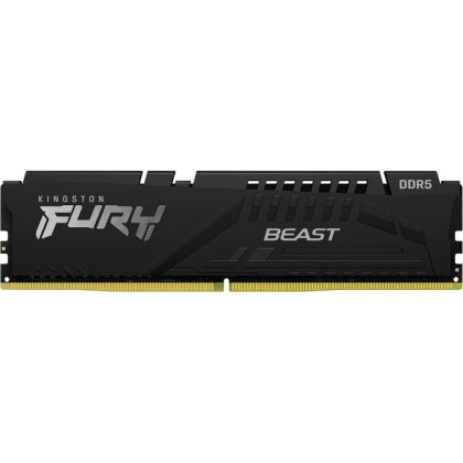 8G DDR5 5600 KINGST EXPO BEAST