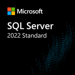 SQL Svr Standard Edtn 2022 Engleză ORY OEI DVD