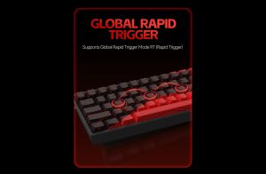 Madlions Professional Gaming Mechanical Keyboard MAD 60 PRO - Black, 8K, Sealed Silver Magnetic [Linear]