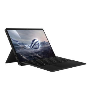 ASUS GZ302EA-RU011X_V1