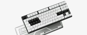 Pulsar Professional Gaming Mechanical Keyboard PCMK 2 HE TKL ANSI White - 8K, Gateron Magnetic Switches [Linear], RGB