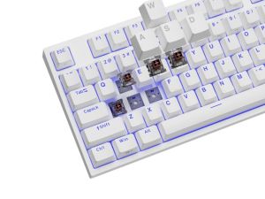 Keyboard Genesis Gaming Keyboard Thor 404 TKL White RGB Backlight US Layout Brown Switch