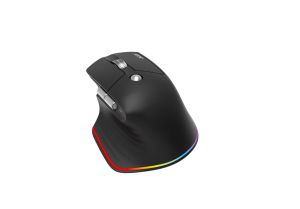 Acer Easy Fit Wireless Mouse, RF 2.4 GHz dongle, Bluetooth 5.0, Wired, 6 buttons, DPI 4000, 122 g, Black with RGB strip