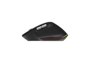 Acer Easy Fit Wireless Mouse, RF 2.4 GHz dongle, Bluetooth 5.0, Wired, 6 buttons, DPI 4000, 122 g, Black with RGB strip