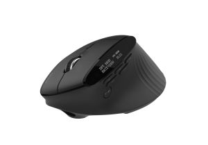 Acer Smart Fit Wireless Mouse, RF 2.4 GHz dongle, Bluetooth 5.0, Wired, 10 Buttons, DPI 8000, 90g, Black with RGB strip