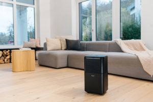 Moisture absorber Beurer LE 150 Air Dehumidifier, up to 12 liter/day; rooms 30 m2 (72 m3); Laundry drying function; Removable tank: 2.0 l; automatic mode; Night mode; timer;  2 fan levels; Environmentally friendly refrigerant R290
