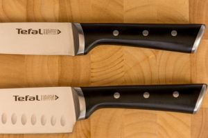 Knife Tefal K2320614, Ingenio Ice Force sst. Santoku knife 18cm
