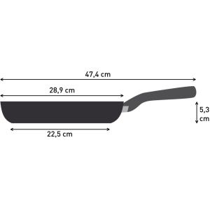 Frying pan Tefal C3110653 FP28 B BRICE ILC FORCE RECYCLED