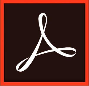 Software Adobe Acrobat Pro for teams Multi European Languages Subscription New
