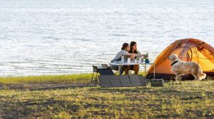 Ecoflow 60W Portable Solar Panel (Type-C)