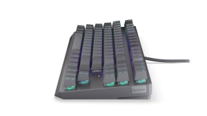 Endorfy mechanical keyboard Thock V2 TKL, PBT, Endorfy Red switch, US Layout