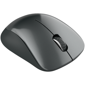 CANYON MW-11, 2.4 GHz Wireless mouse, with 3 buttons, DPI 1200, Battery: AAA*2pcs, Black, 67*109*38mm, 0.063kg