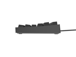 Tastatură Genesis Gaming Keyboard Thor 404 TKL Negru RGB Iluminare de fundal US Layout Comutator maro