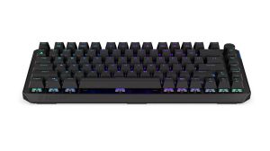 Gaming Mechanical Keyboard ENDORFY Thock 75% Wireless - Kailh Black Switch