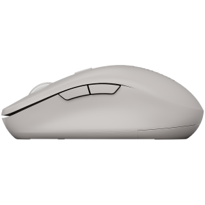 CANYON mouse MW-12 Dual band Wireless grey