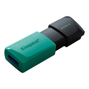 256GB USB3.2 DTXM KINGSTON