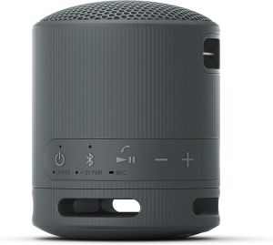 Тонколони Sony SRS-XB100 Portable Bluetooth Speaker, black